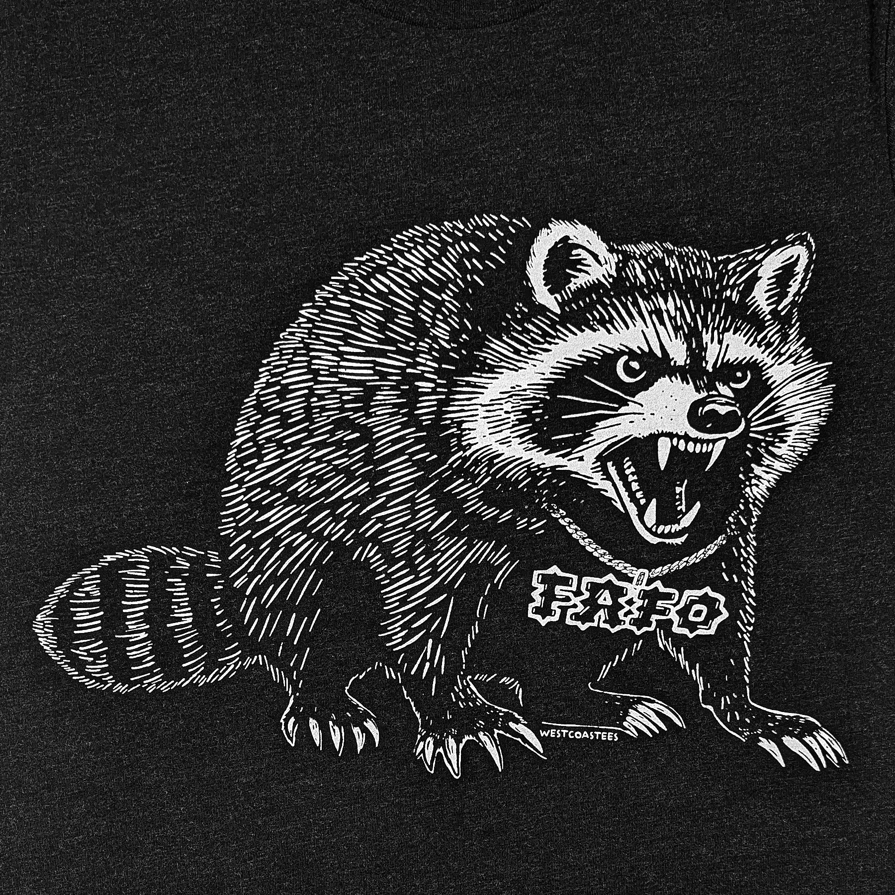 Adult Unisex FAFO Raccoon T-shirt